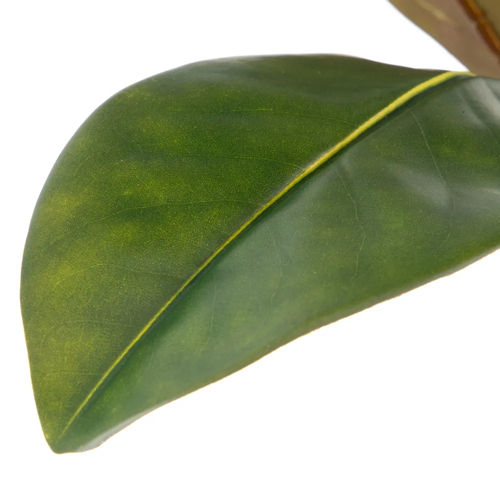 Ramuri magnolie artificiale | Decoratiuni elegante | Vaze inalte [4]