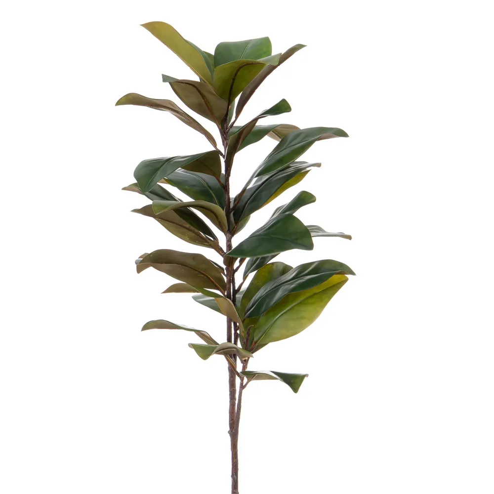 Ramuri magnolie artificiale | Decoratiuni elegante | Vaze inalte [1]