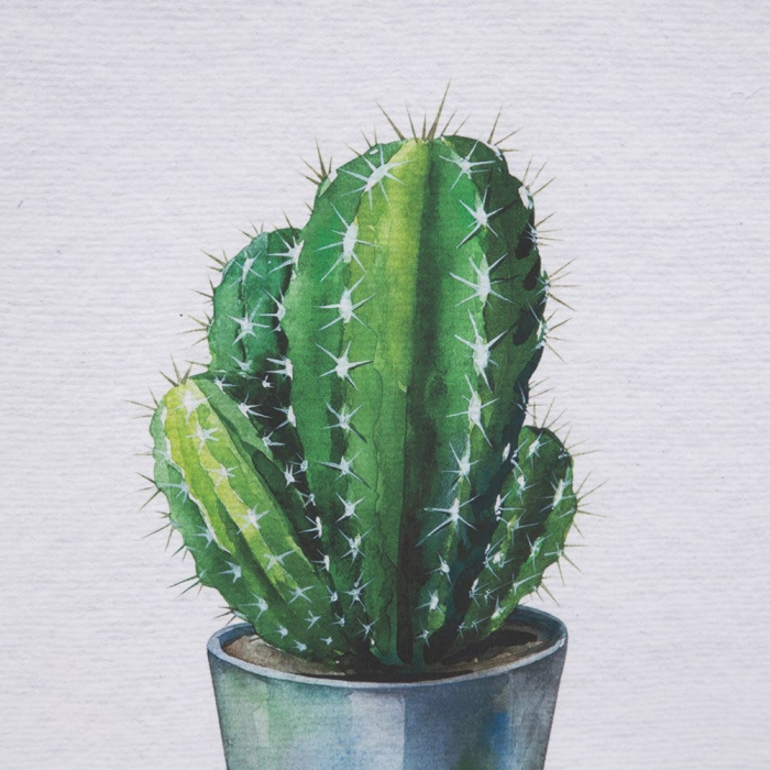 tablouri cactusi modern botanical turcoaz alb rame albe [4]