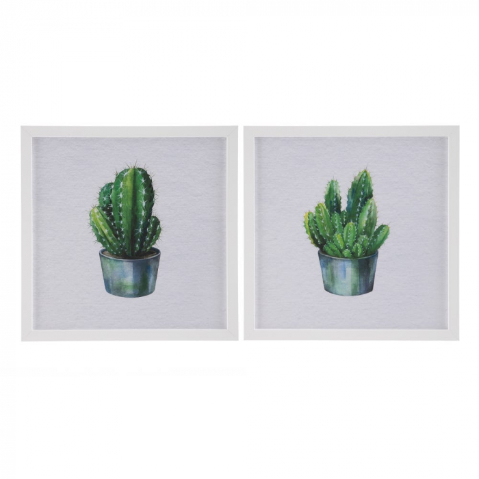 tablouri cactusi modern botanical turcoaz alb rame albe [1]