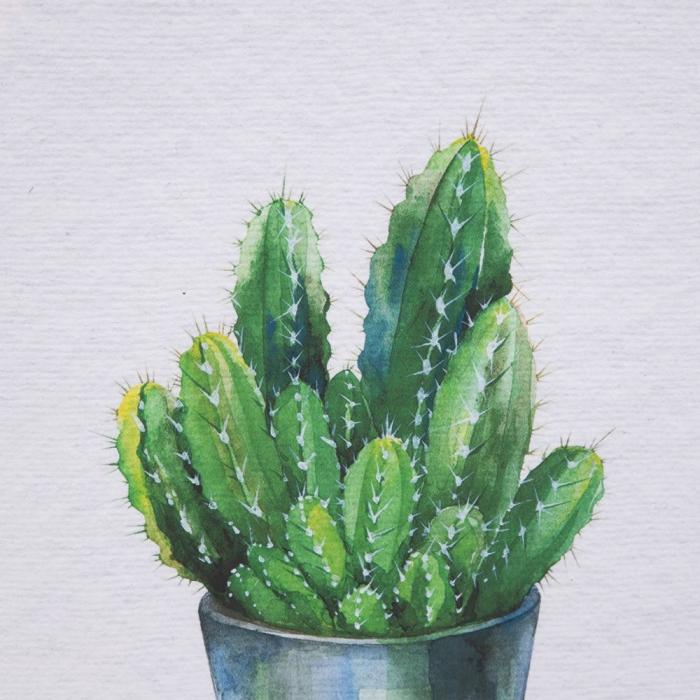 tablouri cactusi modern botanical turcoaz alb rame albe [6]