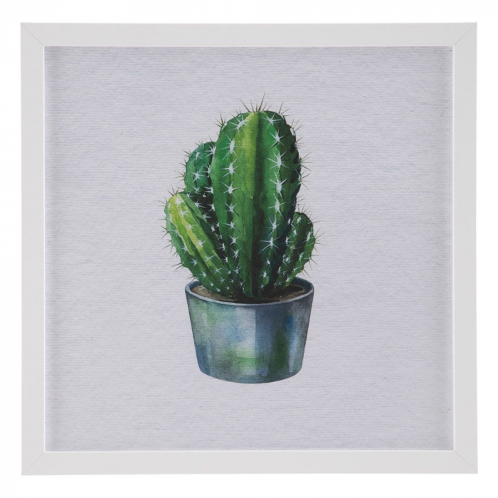 tablouri cactusi modern botanical turcoaz alb rame albe [2]