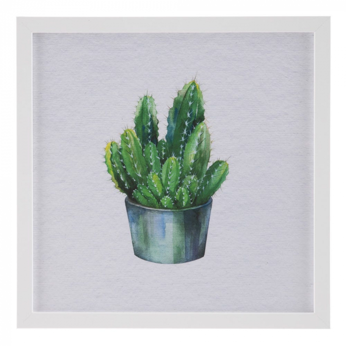 tablouri cactusi modern botanical turcoaz alb rame albe [3]