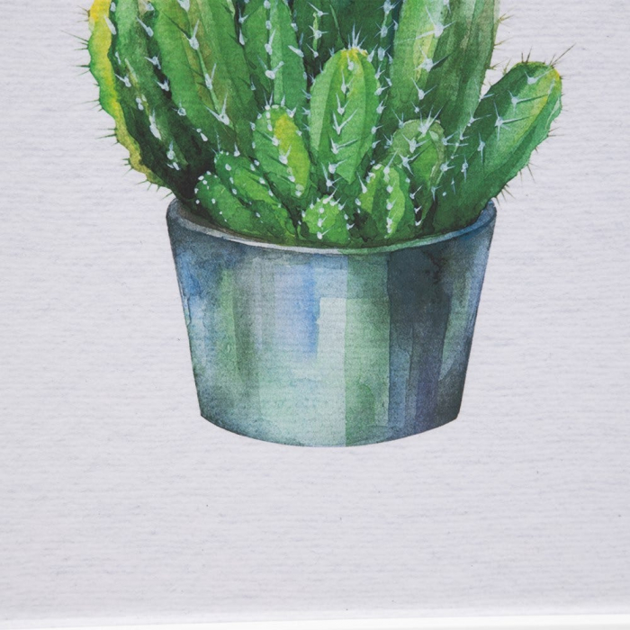 tablouri cactusi modern botanical turcoaz alb rame albe [7]