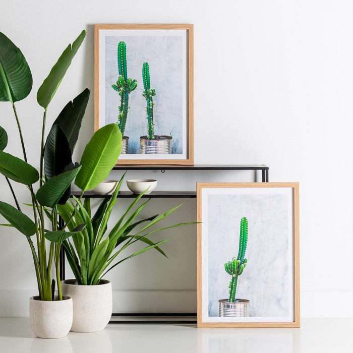tablouri cactusi realist beton rama lemn natur [2]