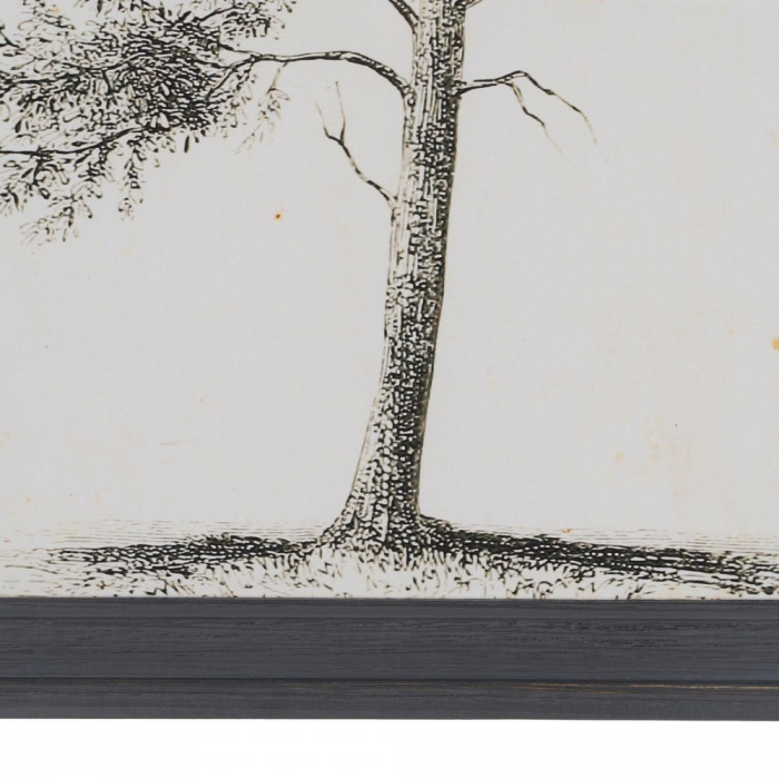 tablouri copaci monocrom lemn brad 45x60cm [5]