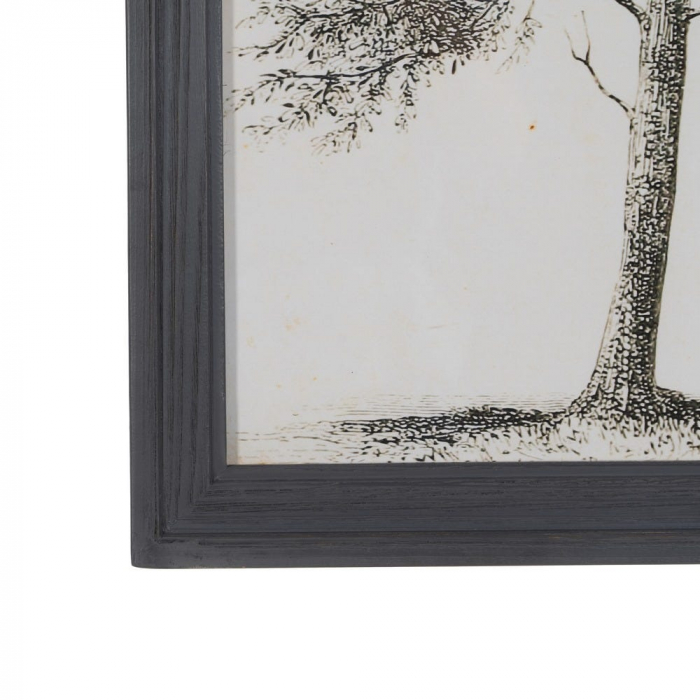 tablouri copaci monocrom lemn brad 45x60cm [8]