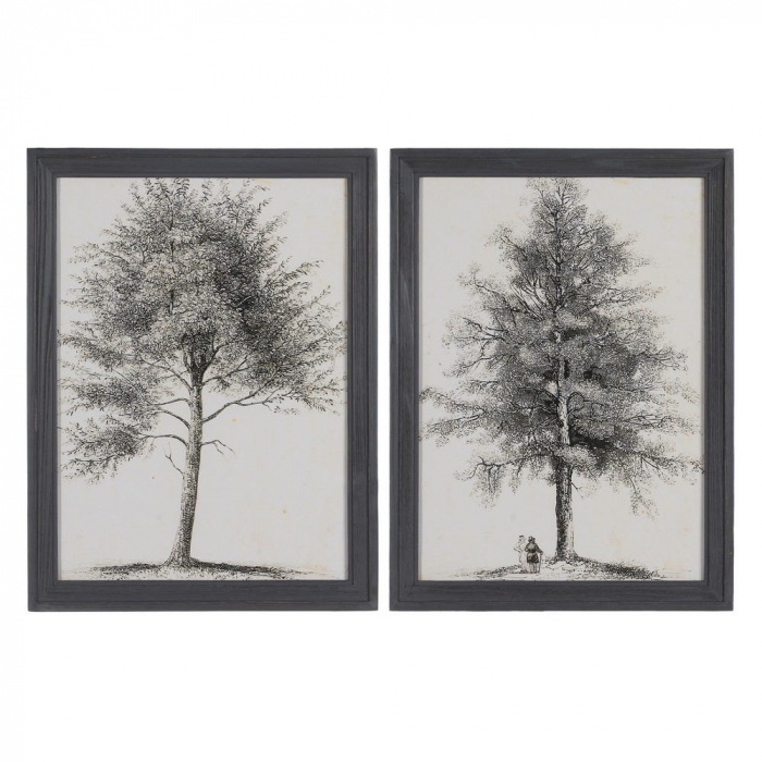 tablouri copaci monocrom lemn brad 45x60cm [1]