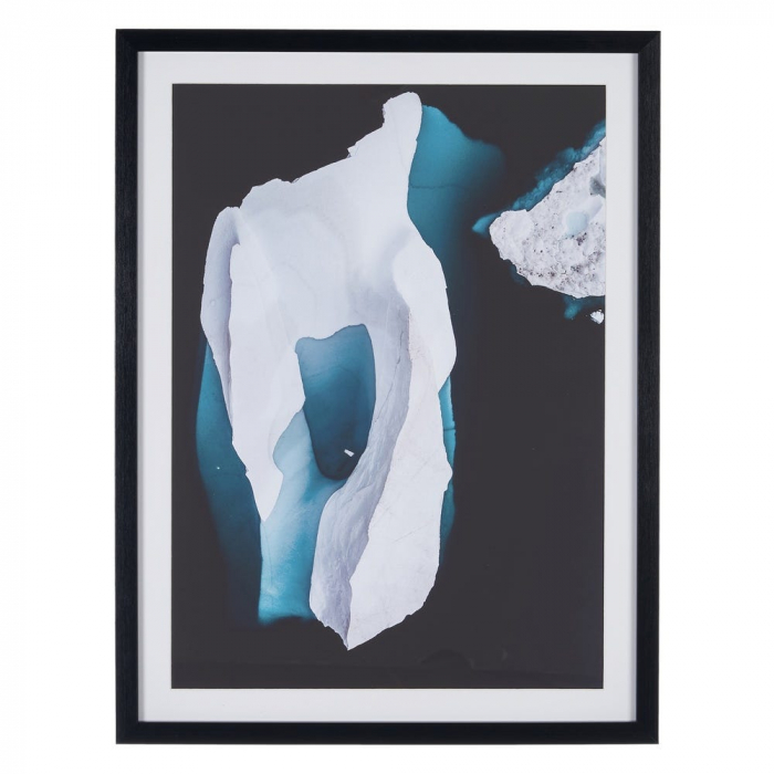 tablouri polar natur abstract rame negre sticla [2]