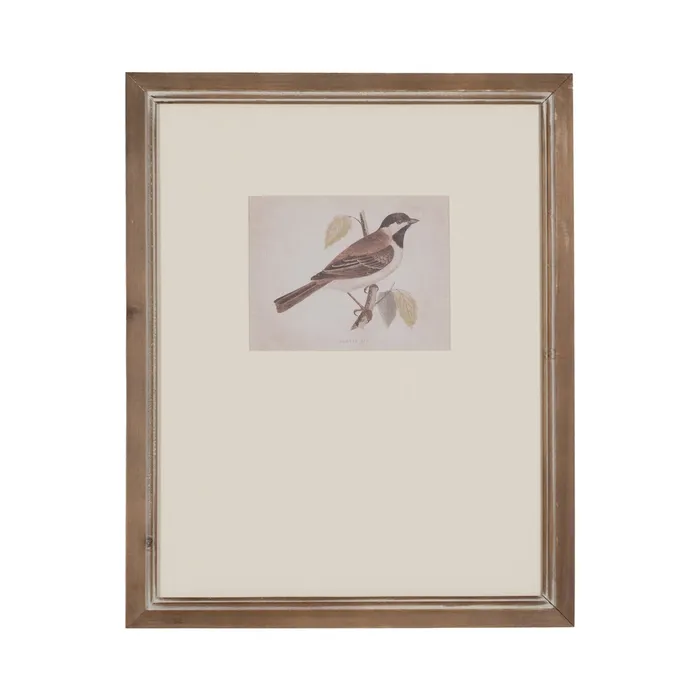 Set tablouri păsări naturale|Decorațiuni elegante și naturale [3]