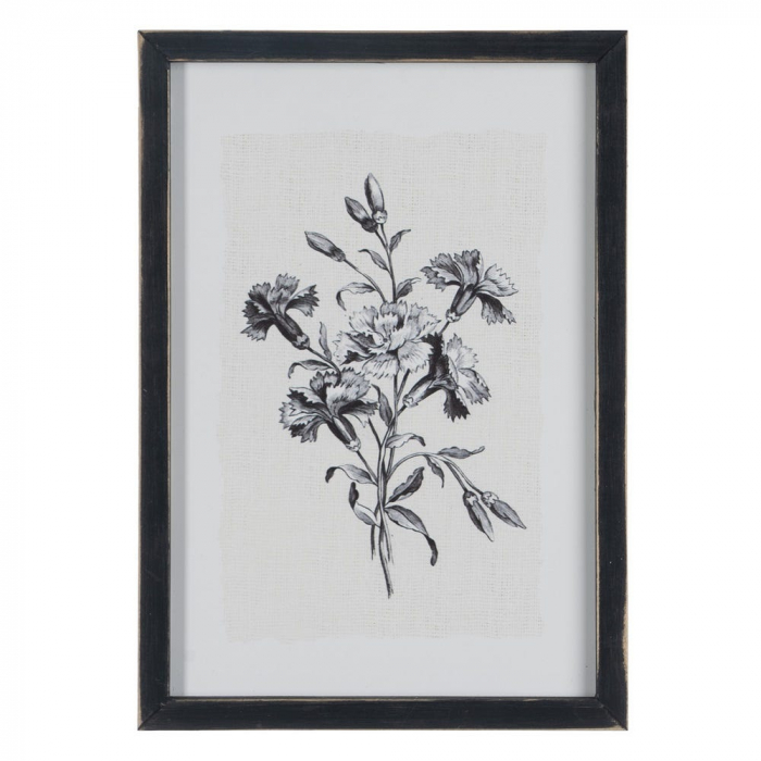 tablouri alb-negru flori gravura 24x34cm [3]