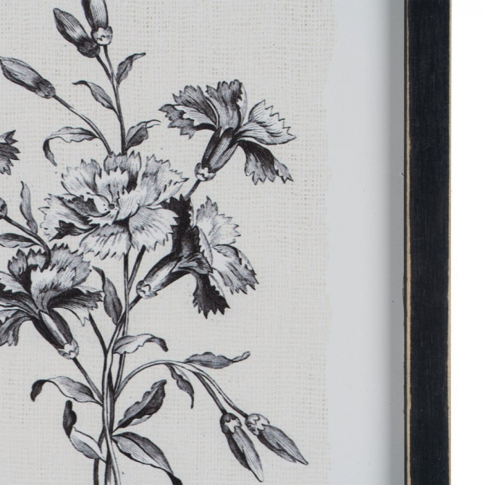 tablouri alb-negru flori gravura 24x34cm [5]