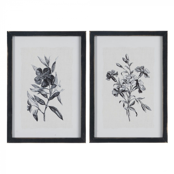 tablouri alb-negru flori gravura 24x34cm [1]