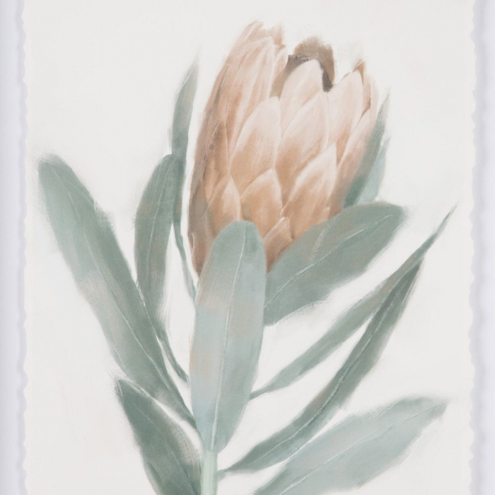tablouri flori protea pastel rame lemn 30x40cm [5]