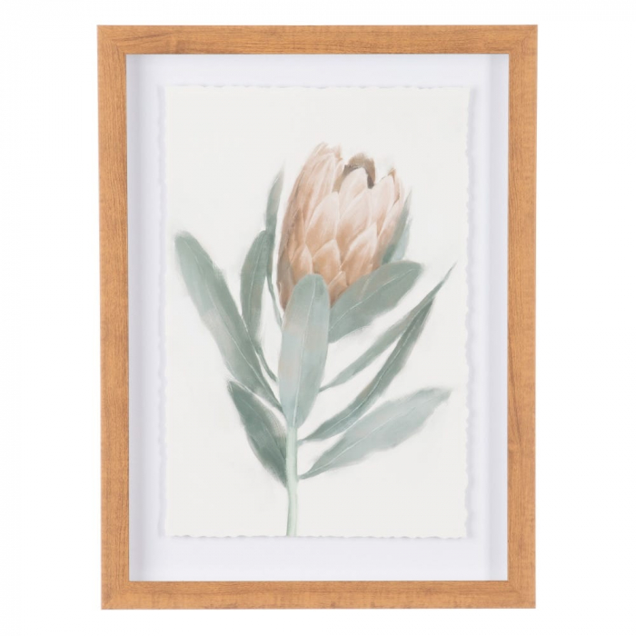 tablouri flori protea pastel rame lemn 30x40cm [2]