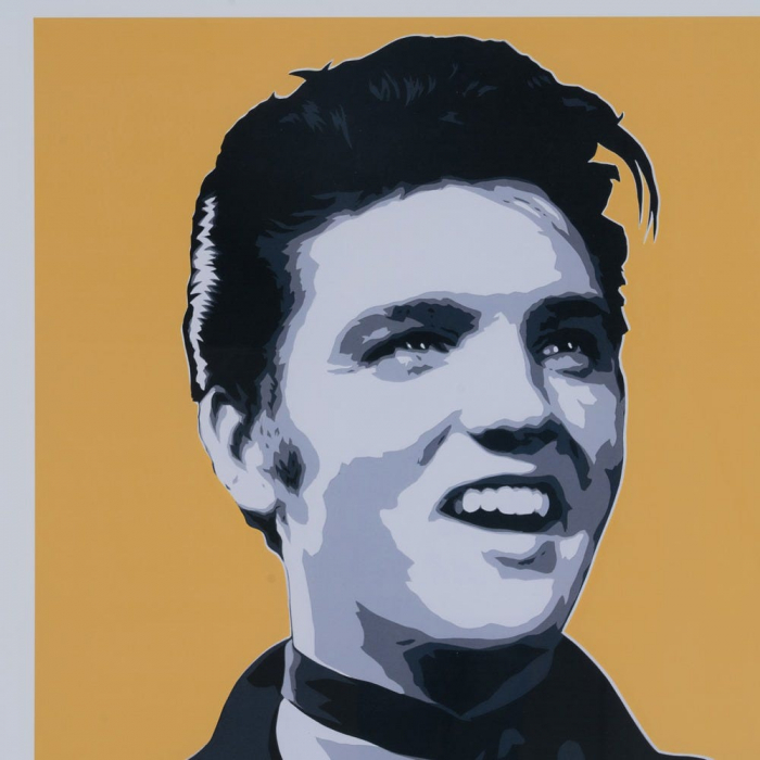 tablouri pop art violet galben rame ayous 73x73cm [5]