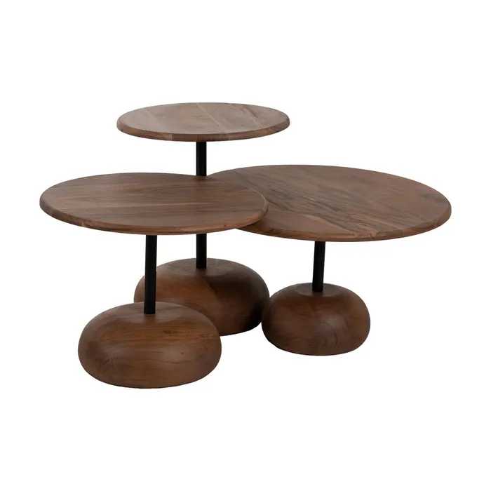 Set măsuțe cafea acacia fier, decor modern rustic [2]