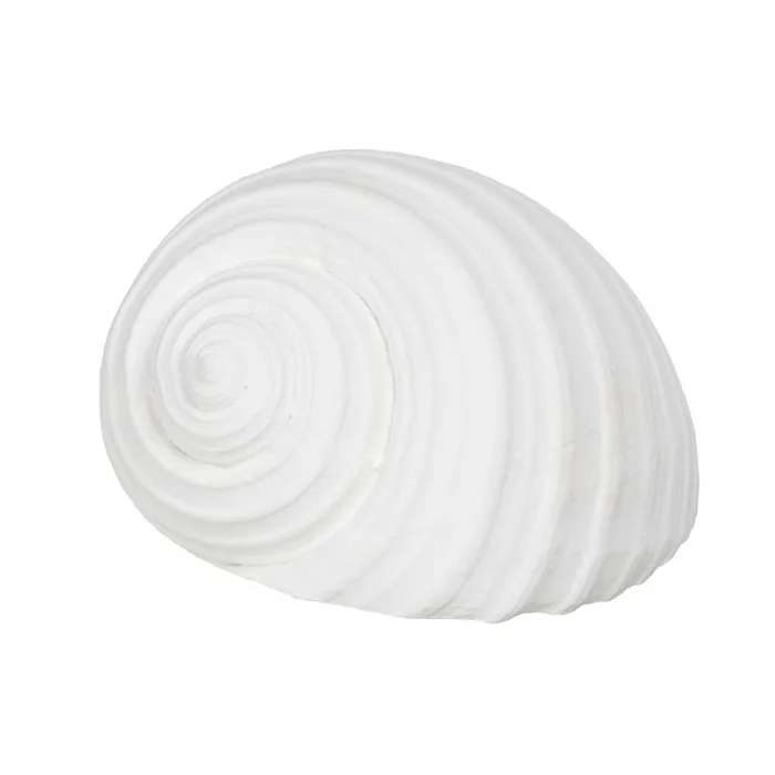 Set scoici rasina alba detalii fine|Decoratiuni marine elegante [3]