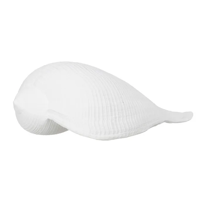 Set scoici rasina alba decor marin|Decoratiuni marine autentice [3]