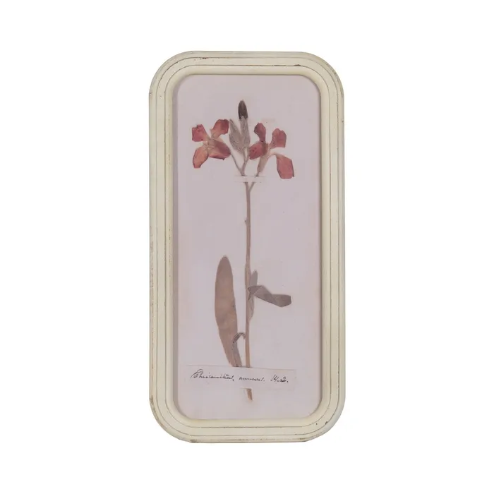 Set tablouri MDF florale|Decorațiuni elegante moderne [2]