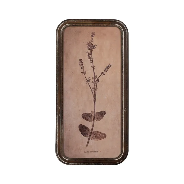 Set tablouri botanice vintage|Decorațiuni elegante și rafinate [2]