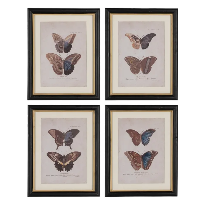 Set tablouri fluturi vibranți|Decorațiuni naturale elegante [1]