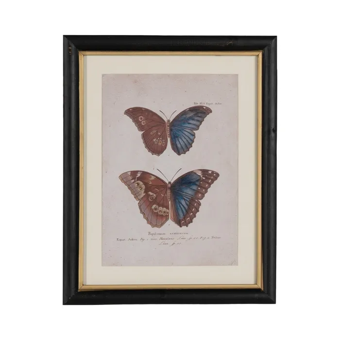 Set tablouri fluturi vibranți|Decorațiuni naturale elegante [5]