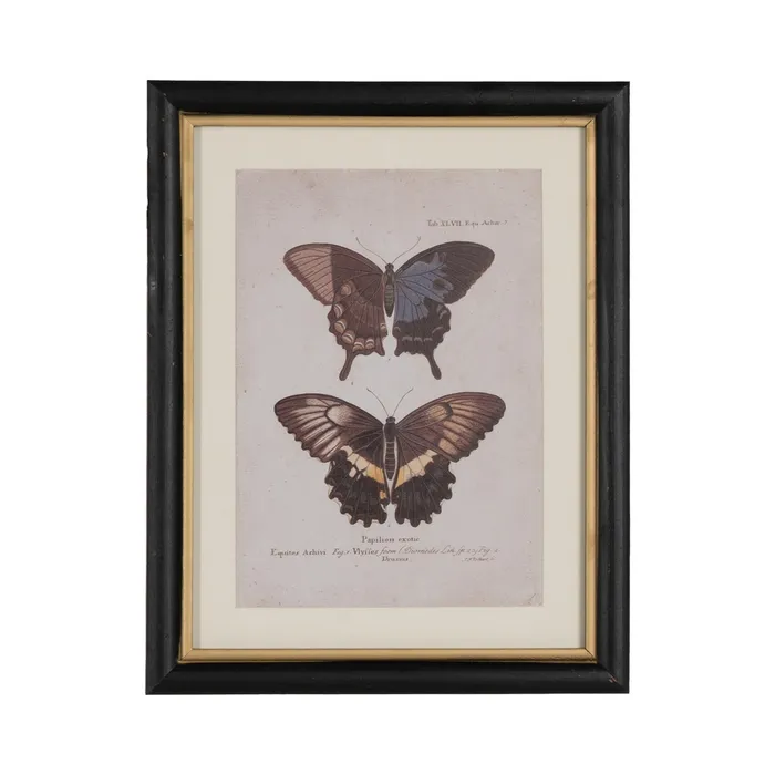 Set tablouri fluturi vibranți|Decorațiuni naturale elegante [4]