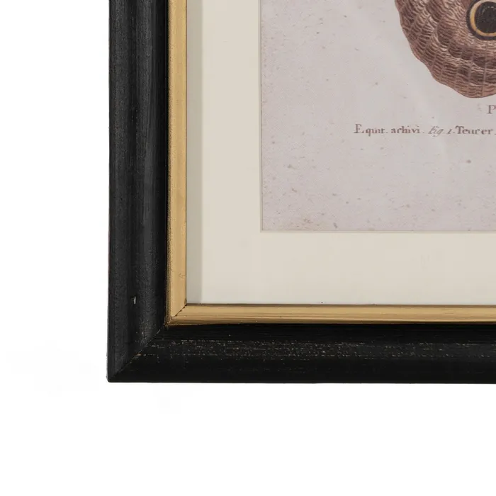 Set tablouri fluturi vibranți|Decorațiuni naturale elegante [8]