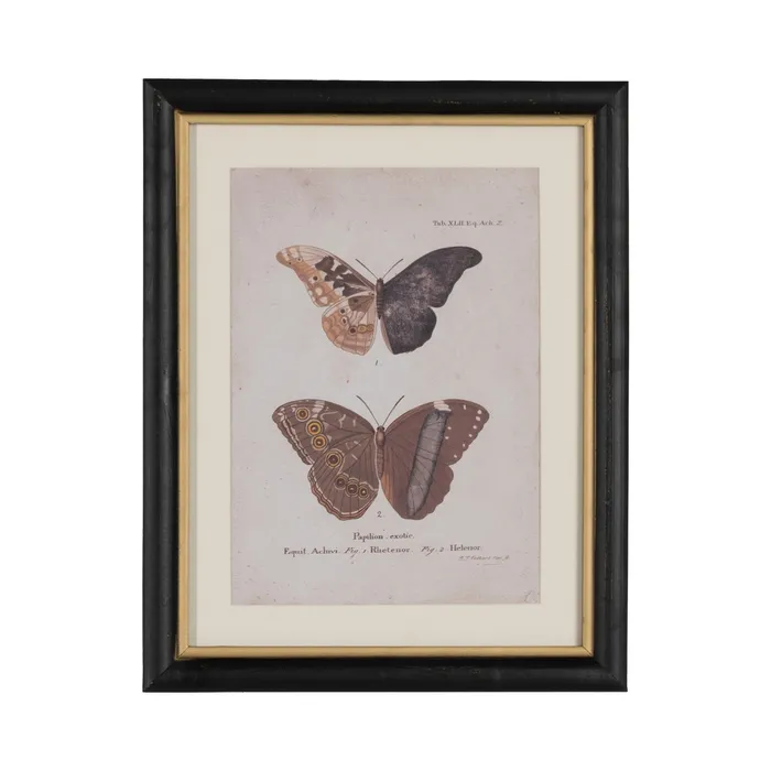 Set tablouri fluturi vibranți|Decorațiuni naturale elegante [3]