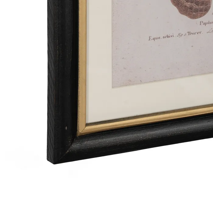 Set tablouri fluturi vibranți|Decorațiuni naturale elegante [9]