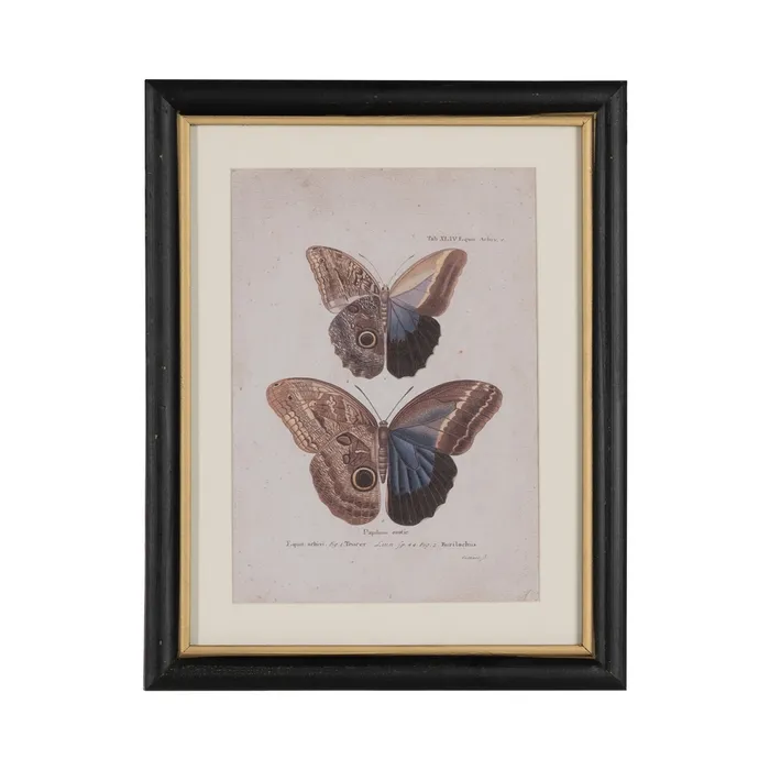 Set tablouri fluturi vibranți|Decorațiuni naturale elegante [2]