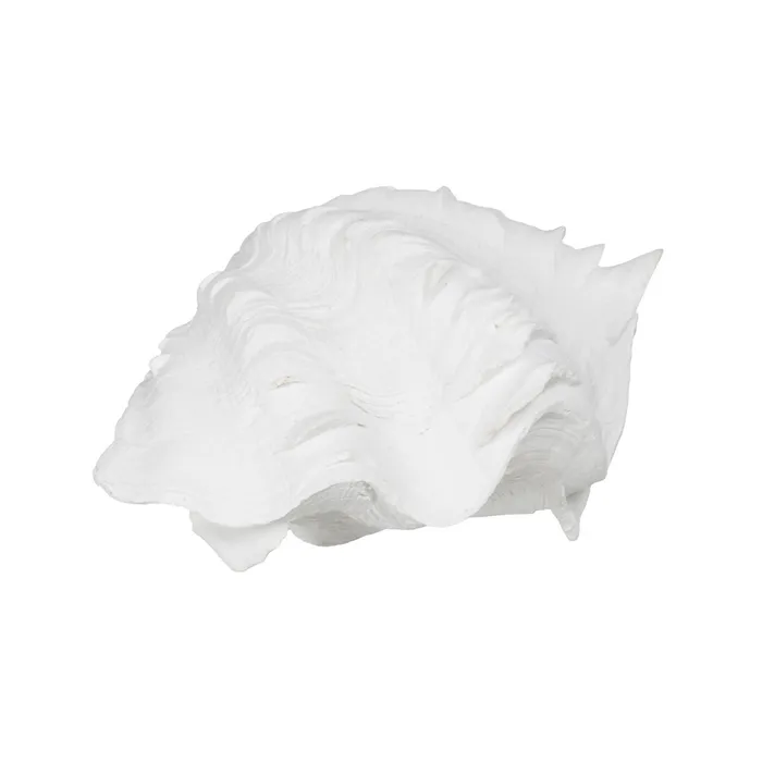 Set scoici rasina alba detalii fine|Decoratiuni marine elegante [3]