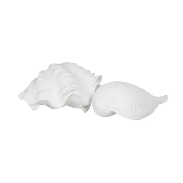 Set scoici rasina alba detalii fine|Decoratiuni marine elegante [2]
