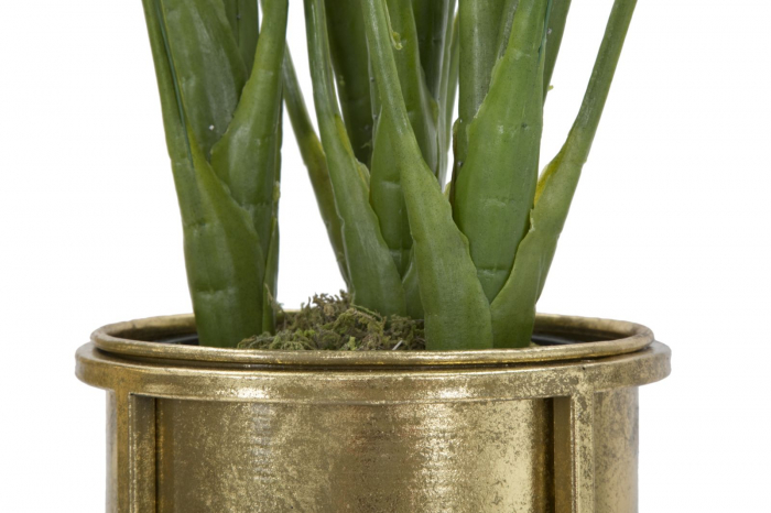 Set Suporturi flori Glam Coppia, metal auriu [8]