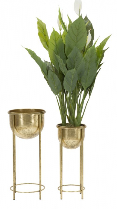 Set Suporturi flori Glam Coppia, metal auriu [1]
