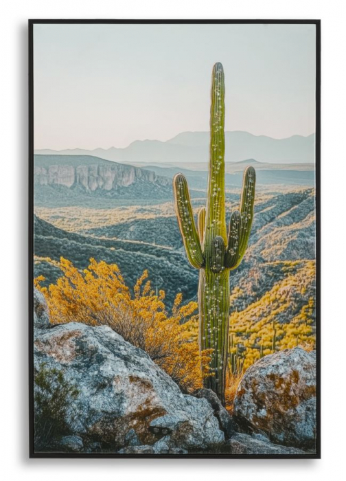 Tablou peisaj deșert cactus Saguaro 60x90 cm – imprimat pe pânză cu ramă neagră [1]