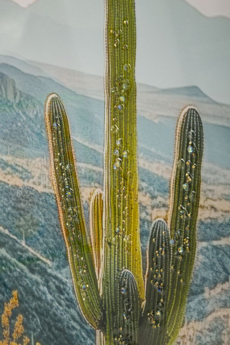 Tablou peisaj deșert cactus Saguaro 60x90 cm – imprimat pe pânză cu ramă neagră [3]