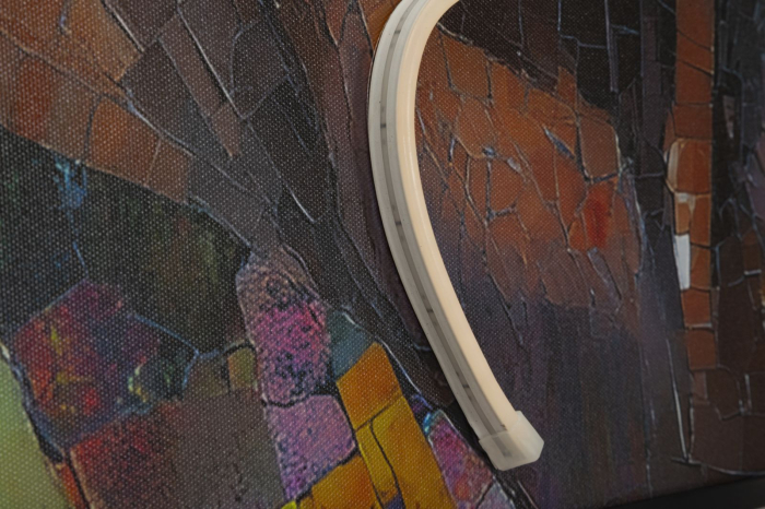 Tablou Canvas cu LED si rama portret artistic 3D acrilic decor modern [4]