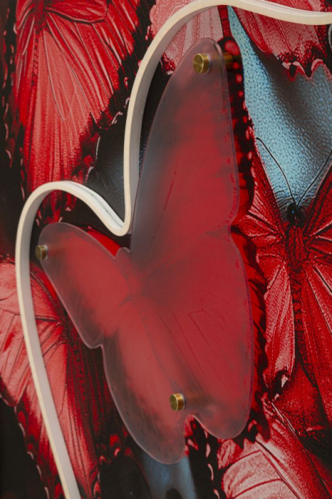 Tablou Canvas cu LED si rama portret artistic cu fluturi rosii 3D acrilic decor modern [7]