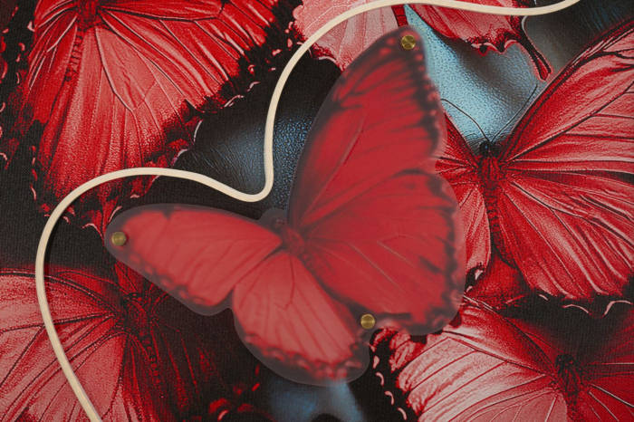 Tablou Canvas cu LED si rama portret artistic cu fluturi rosii 3D acrilic decor modern [6]