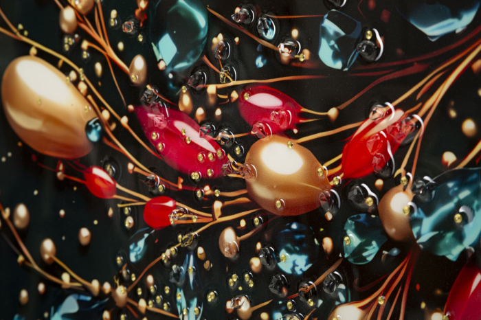 Tablou Canvas cu rama din lemn fluture turcoaz cu accente rosii si aurii decor multicolor [5]