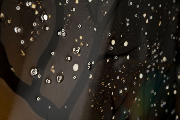 Tablou Canvas cu rama din lemn paun decorativ cu accente aurii multicolor [4]