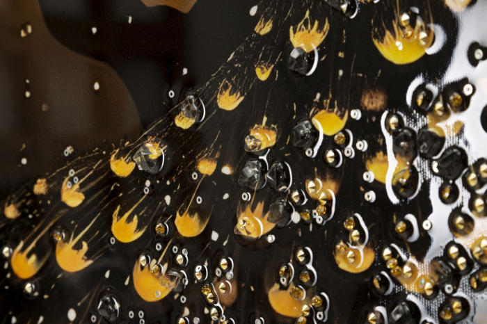 Tablou Canvas cu rama din lemn paun decorativ cu accente aurii multicolor [5]