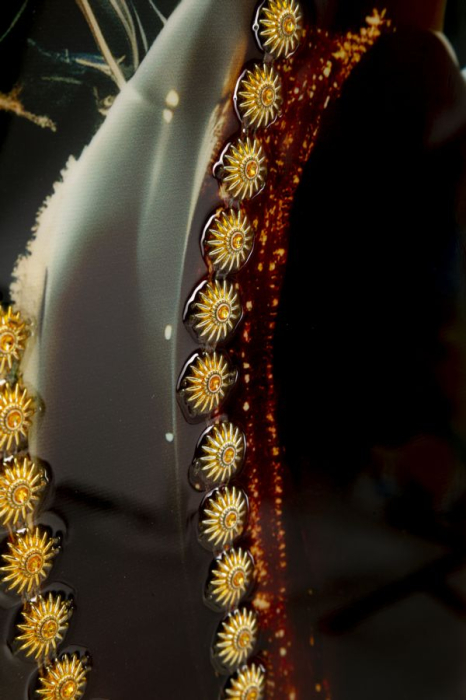 Tablou Canvas cu rama din lemn portret feminin elegant cu accente aurii [4]