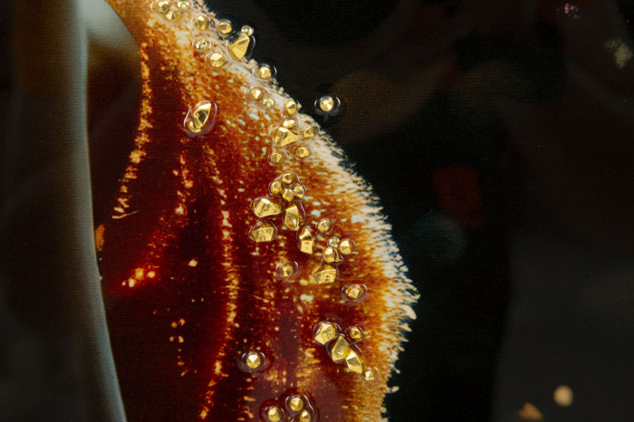 Tablou Canvas cu rama din lemn portret feminin elegant cu accente aurii [5]