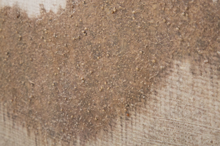 Tablou Boho Chic CreativDeco - Forme Ondulate si Stil Relaxat [2]