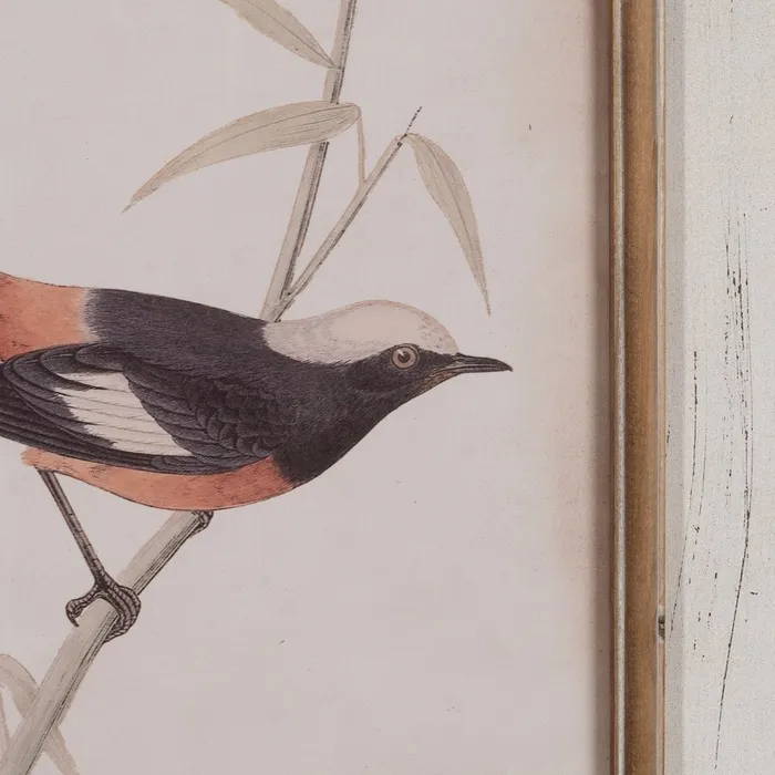 Tablou mare compartimentat|Decorațiuni naturale elegante [4]