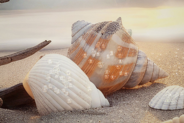 Tablou decorativ cu rama multicolor din lemn de brad si canvas Beach model scoici [5]