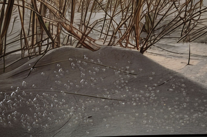 Tablou decorativ cu rama multicolor din lemn de brad si canvas Beach [5]